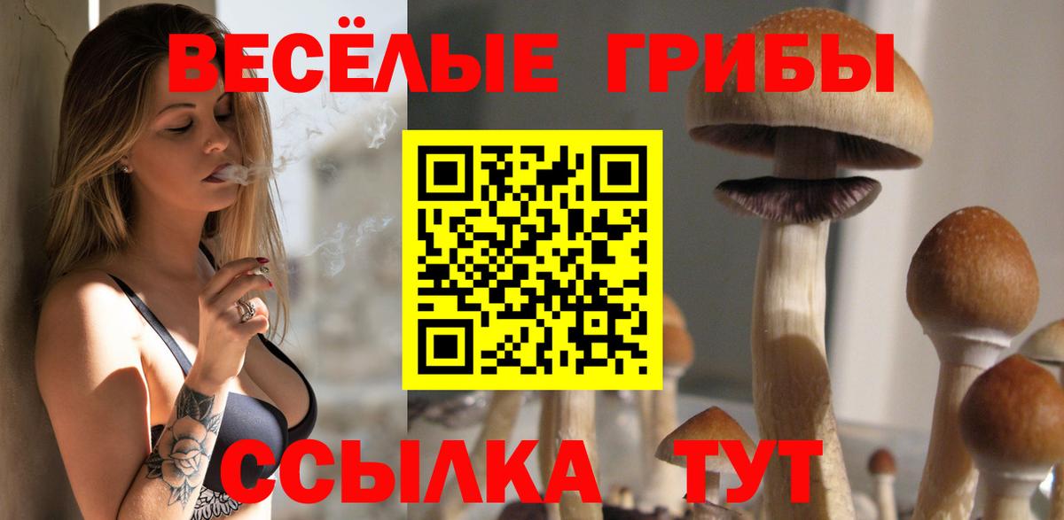 Псилоцибиновые грибы Psilocybe  Галлюциногенные грибы MAGIC MUSHROOMS  Вход с VPN  цены   Якутск 
