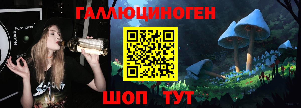 Псилоцибиновые грибы Psilocybe Якутск